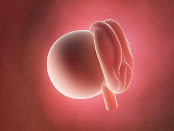 ביצית מופרית בשבוע ראשון להריון