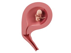 שבוע 11 להריון