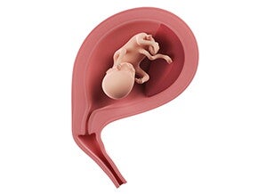 שבוע 16 להריון