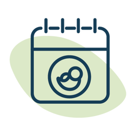 שבועות הריון